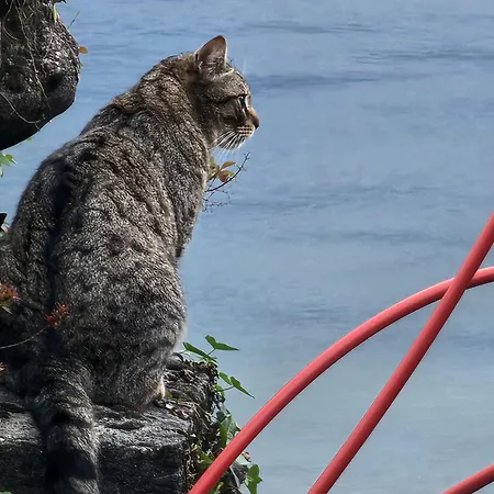 Apartamento Maria Maggiore 2