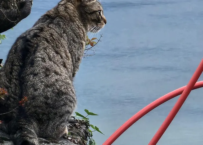 Apartament Maria Maggiore 2